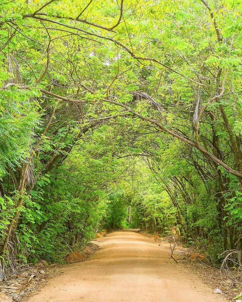 A few steps from the paradise of Patacho, Milagres