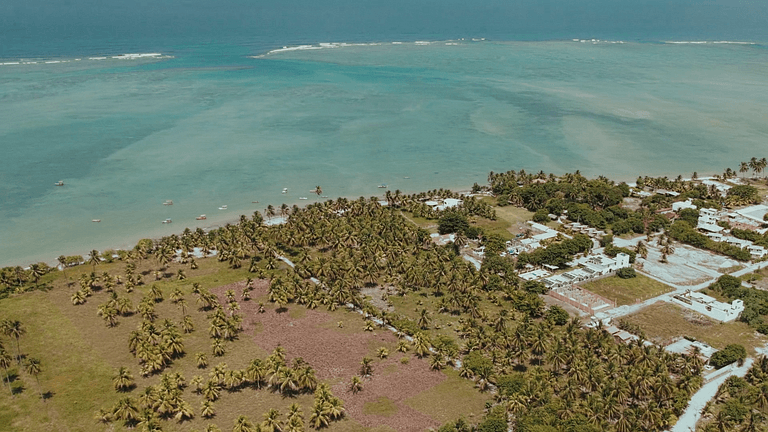 Qavi - Essence C 103 na Rota dos Milagres